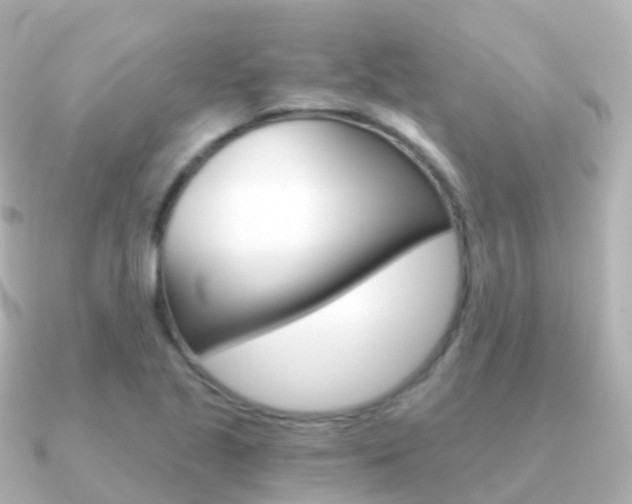 X0000091341221200708101013