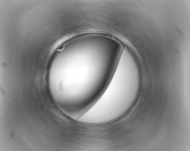 X0000091341222200708101013