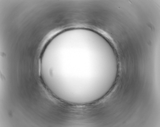X0000091341223200708101013