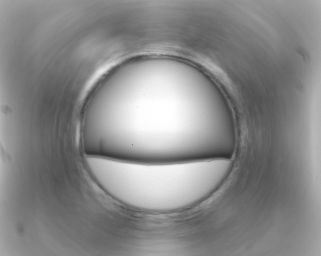 X0000091341224200708101013