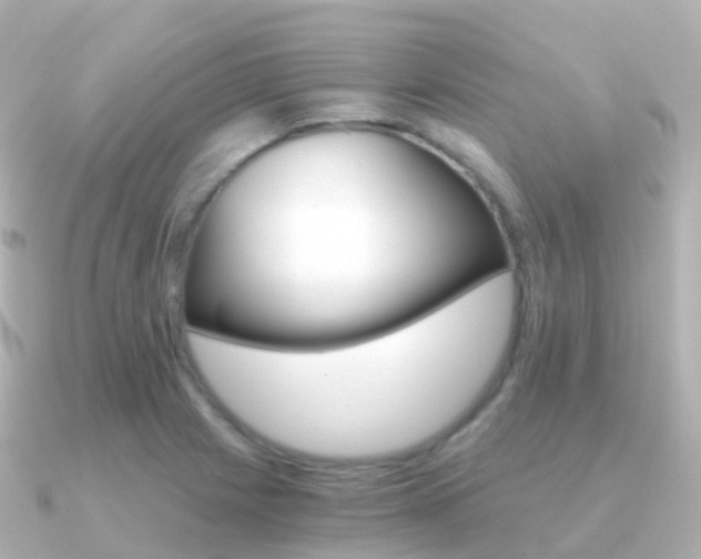 X0000091341225200708101013