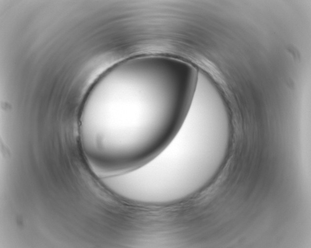 X0000091341226200708101013