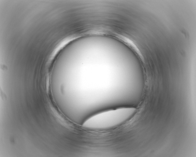 X0000091341227200708101013