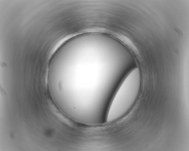 X0000091341228200708101013