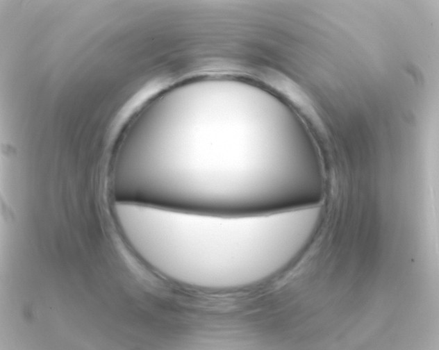 X0000091341229200708101013