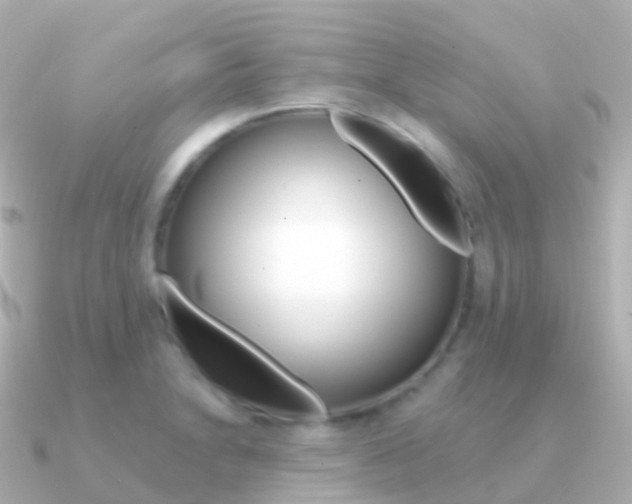 X0000091341230200708101013