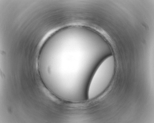 X0000091341232200708101013