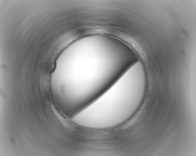 X0000091341233200708101013
