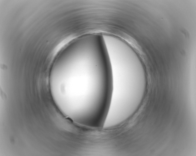 X0000091341234200708101013