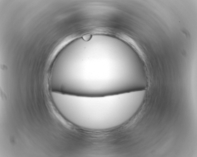 X0000091341235200708101013