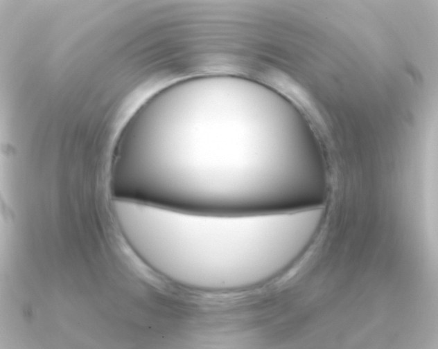 X0000091341236200708101013