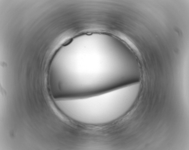 X0000091341237200708101013