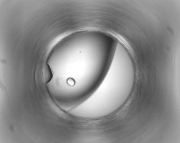X0000091341238200708101013