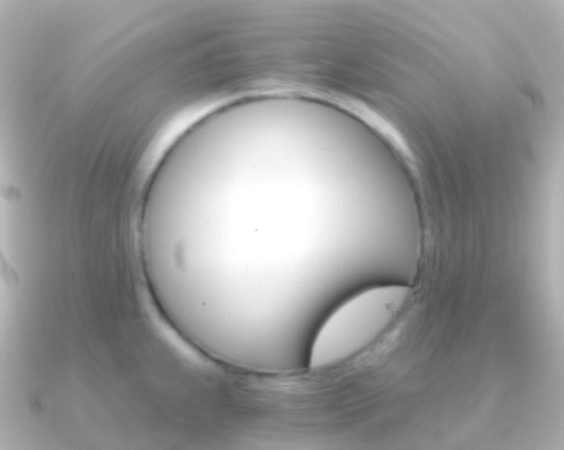 X0000091341239200708101013
