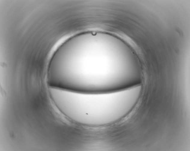 X0000091341240200708101013