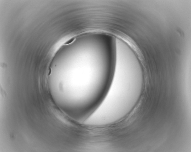 X0000091341242200708101014