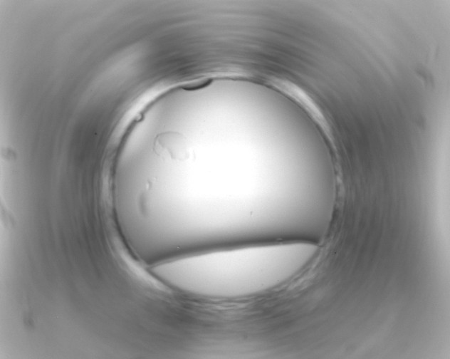 X0000091341243200708101014