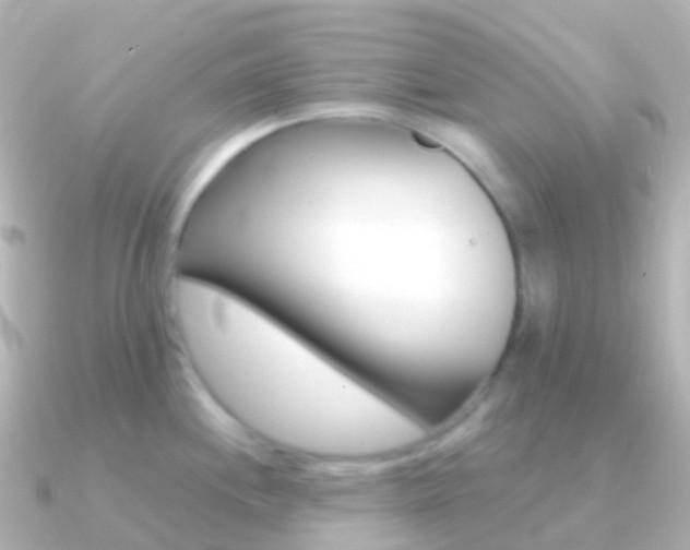 X0000091341244200708101014