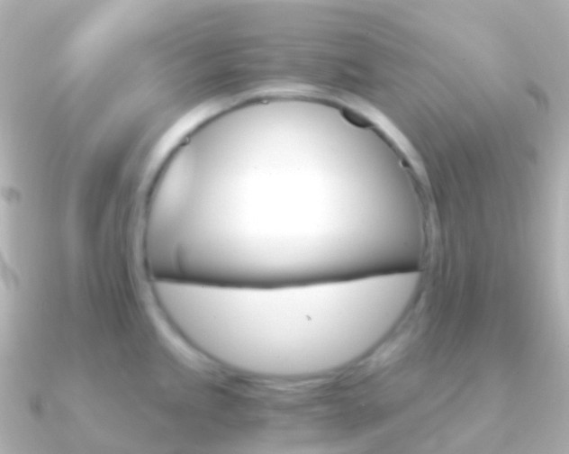 X0000091341245200708101014