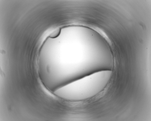 X0000091341247200708101014