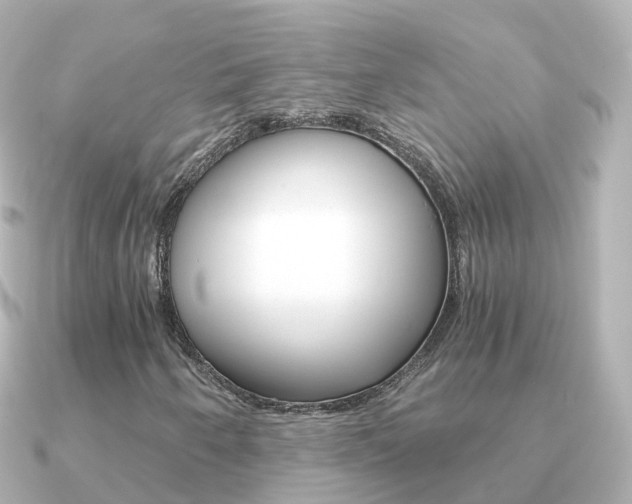 X0000091341250200708101013