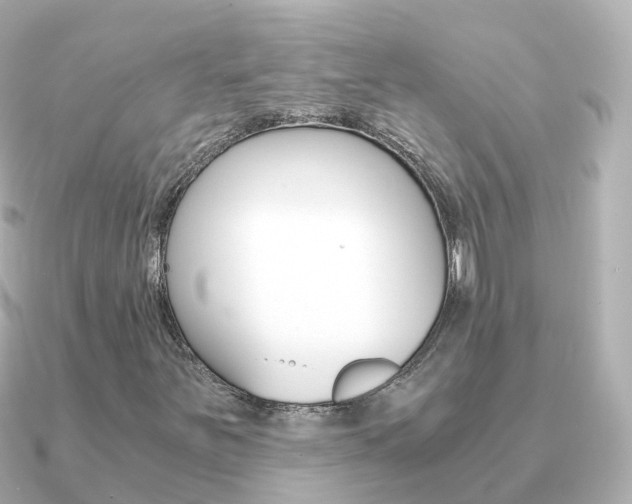 X0000091341251200708101013
