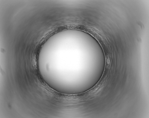 X0000091341252200708101013