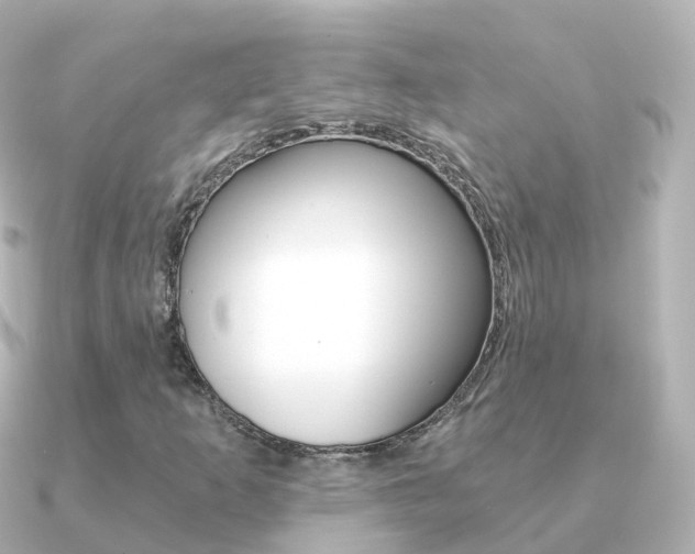 X0000091341253200708101013