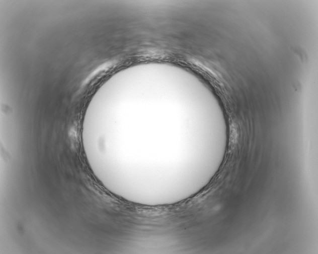 X0000091341254200708101013