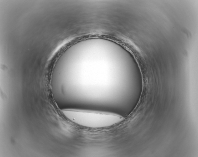 X0000091341256200708101013