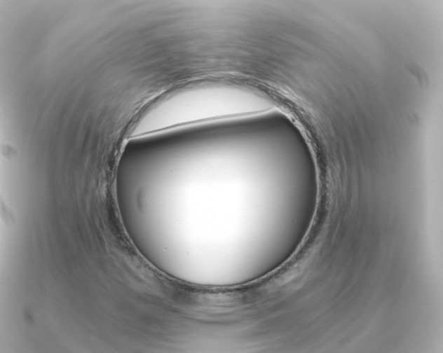 X0000091341257200708101013