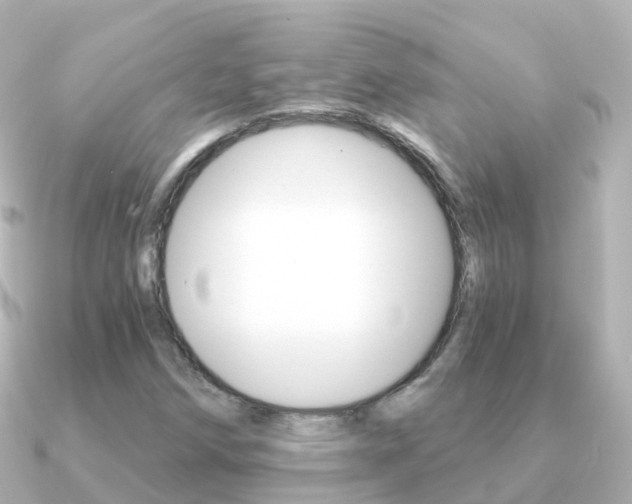 X0000091341258200708101013