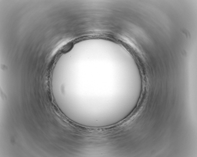 X0000091341259200708101013