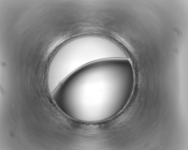 X0000091341261200708101013