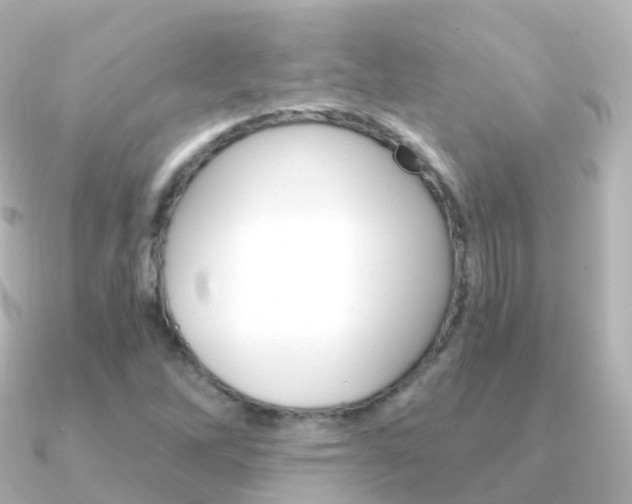 X0000091341262200708101013