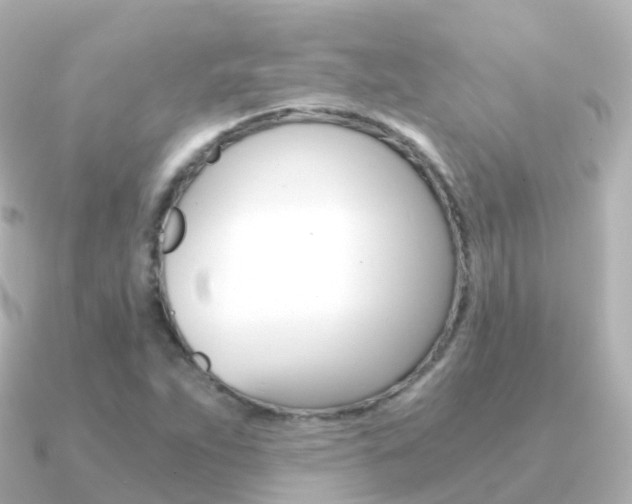 X0000091341263200708101013