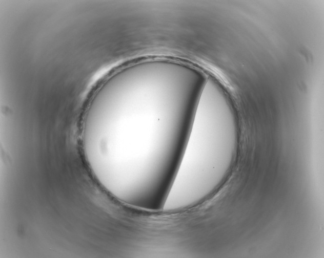 X0000091341264200708101013