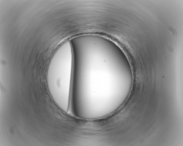 X0000091341265200708101013