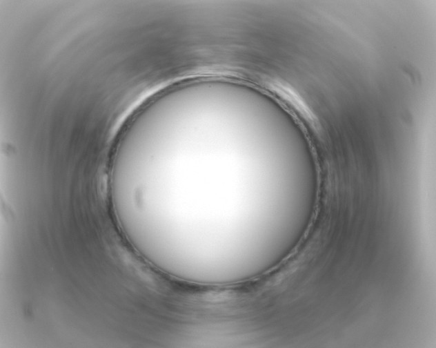 X0000091341268200708101013