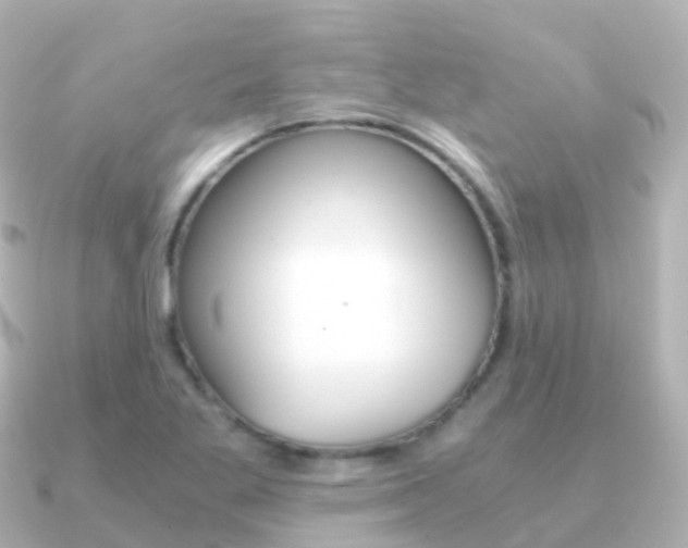 X0000091341269200708101013
