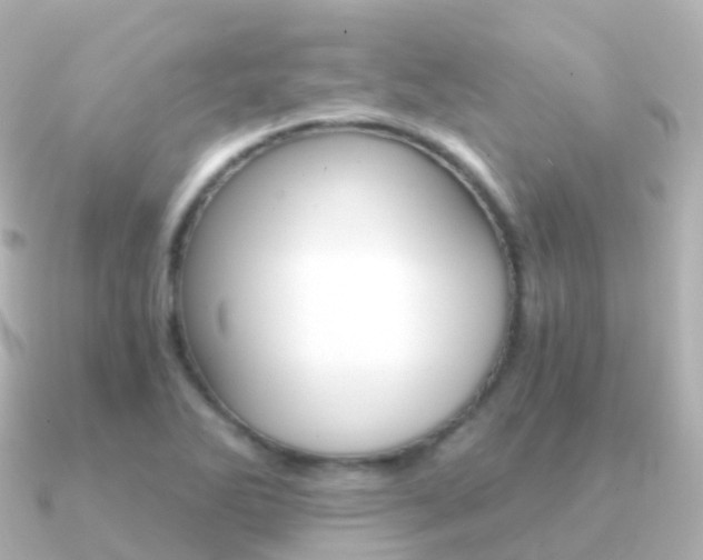 X0000091341270200708101013