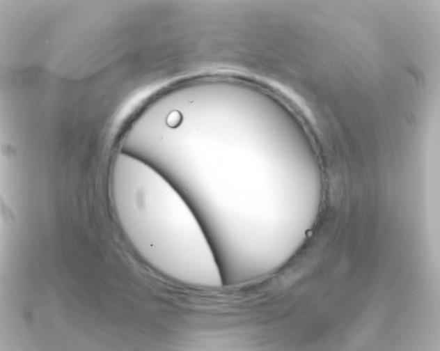 X0000091341271200708101013