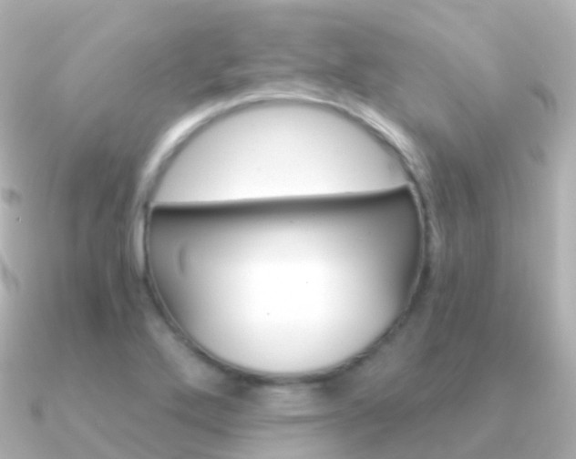 X0000091341272200708101013