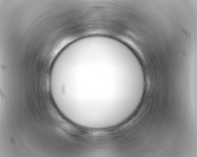 X0000091341274200708101013