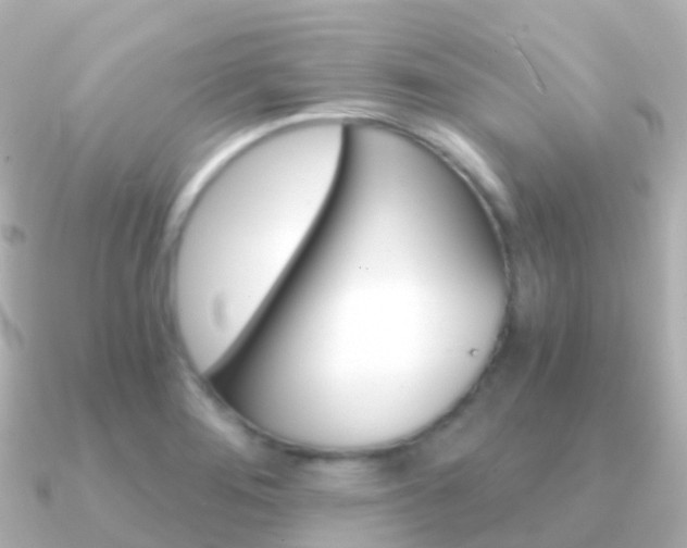 X0000091341276200708101013