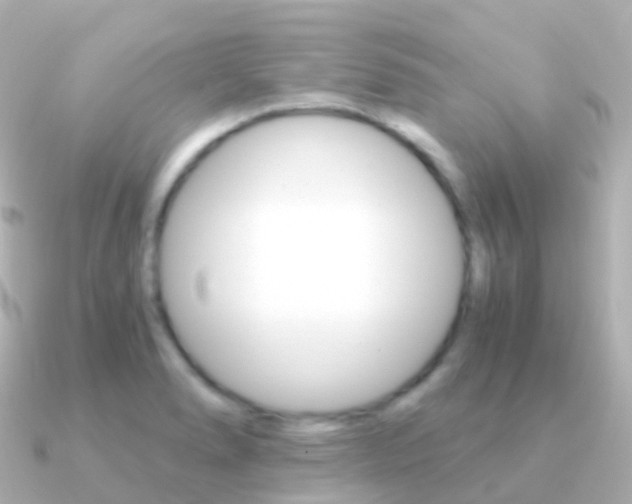 X0000091341278200708101013