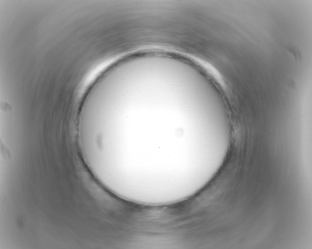 X0000091341279200708101013