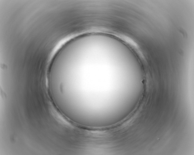 X0000091341280200708101013