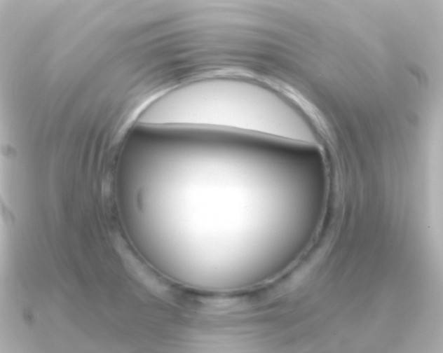 X0000091341281200708101013