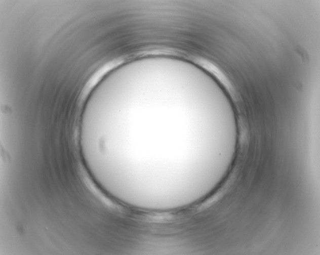 X0000091341282200708101013